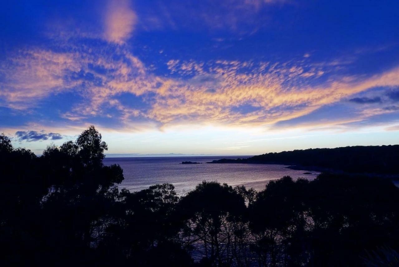 Апартаменты The Loft @ Bay Of Fires Seascape Binalong Bay Экстерьер фото